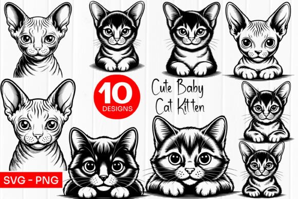 Cute Hairless Kitten Faces Outline SVG
