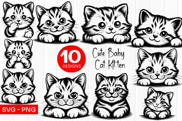 Cute Kitten Faces Illustration SVG PNG